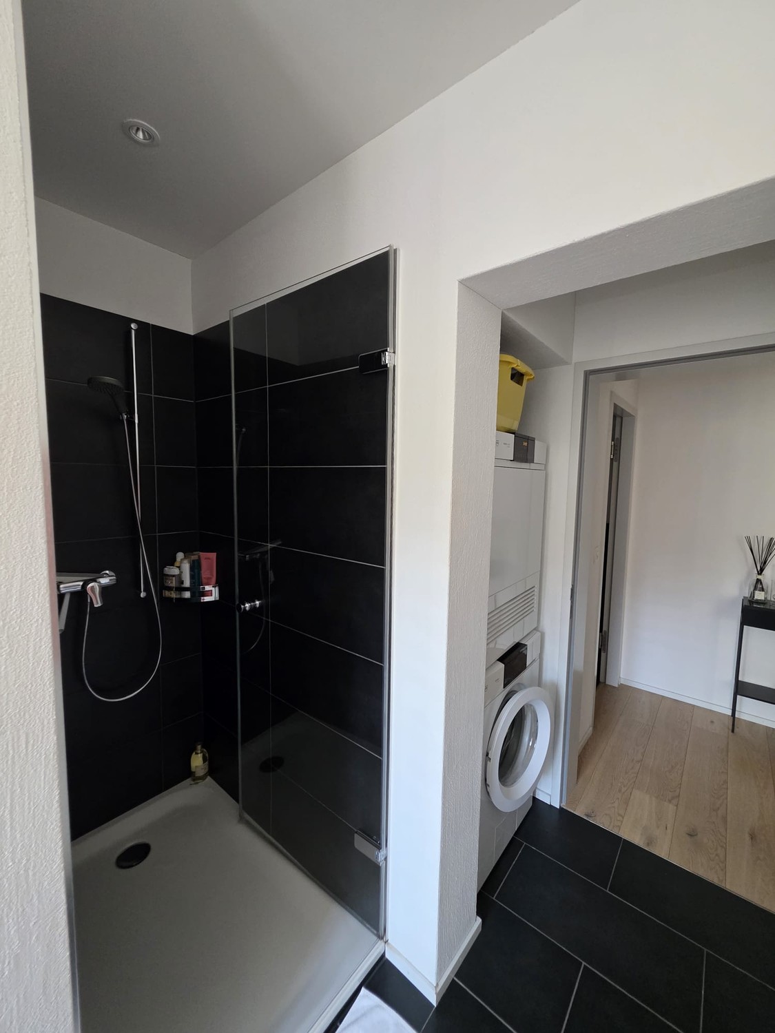 Appartement de 2 ½ pièces, photo 9 sur 10