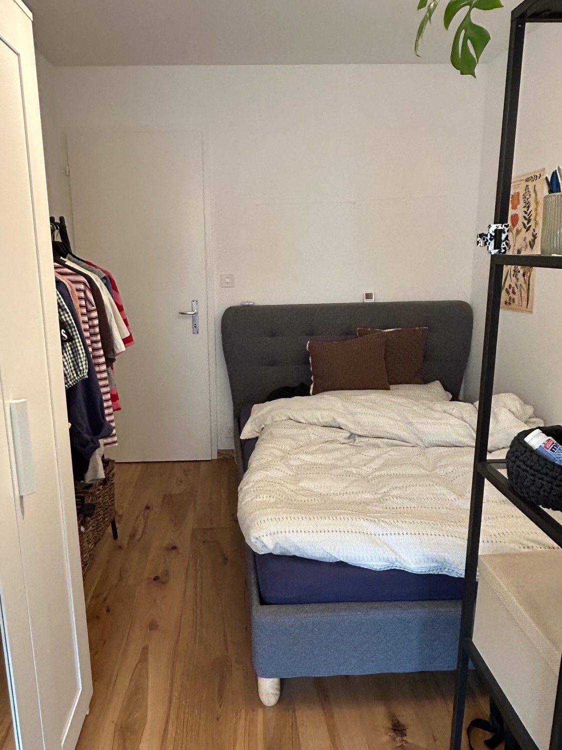 Chambre en colocation, photo 7 sur 7
