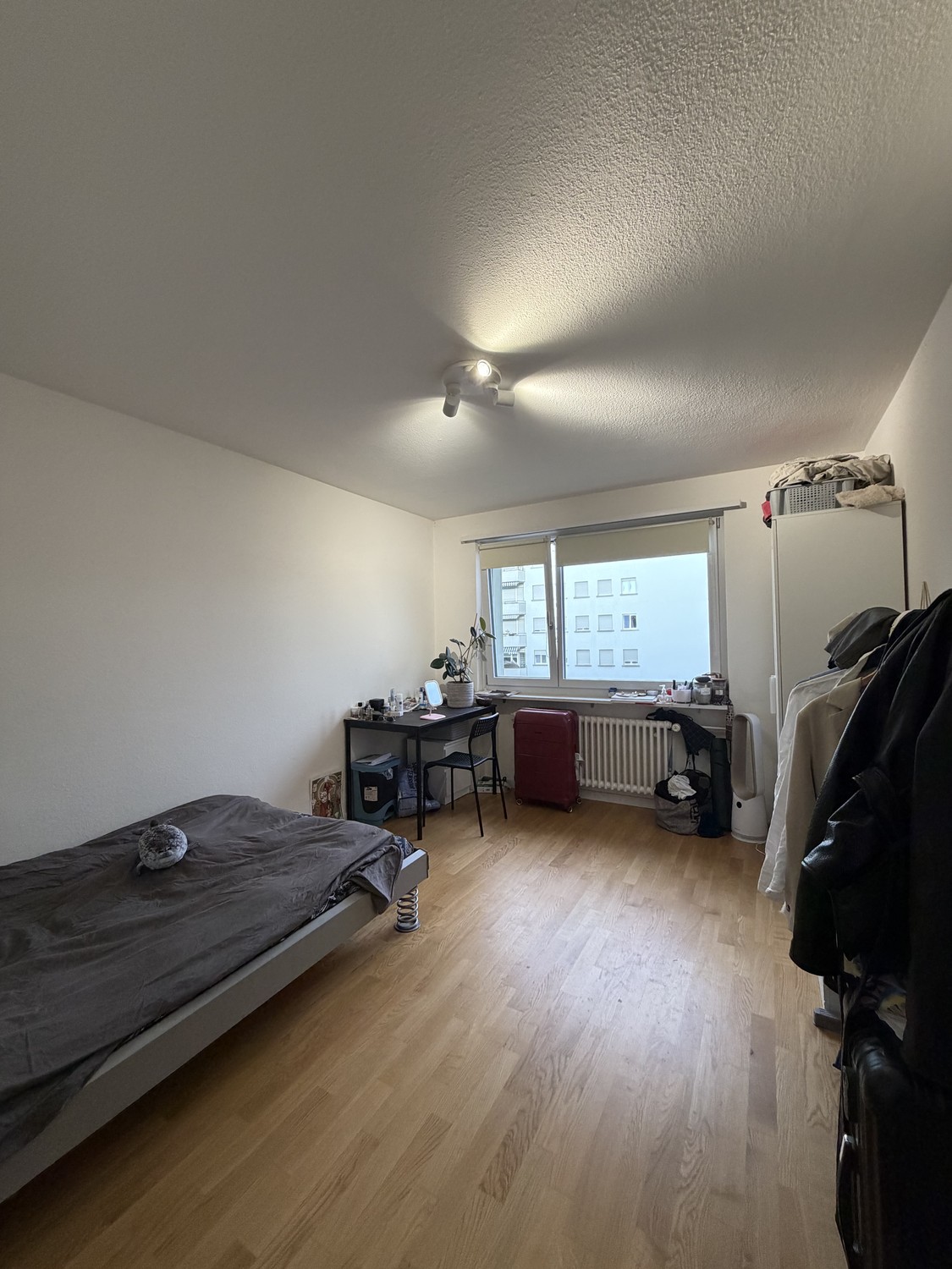 Chambre dans une colocation