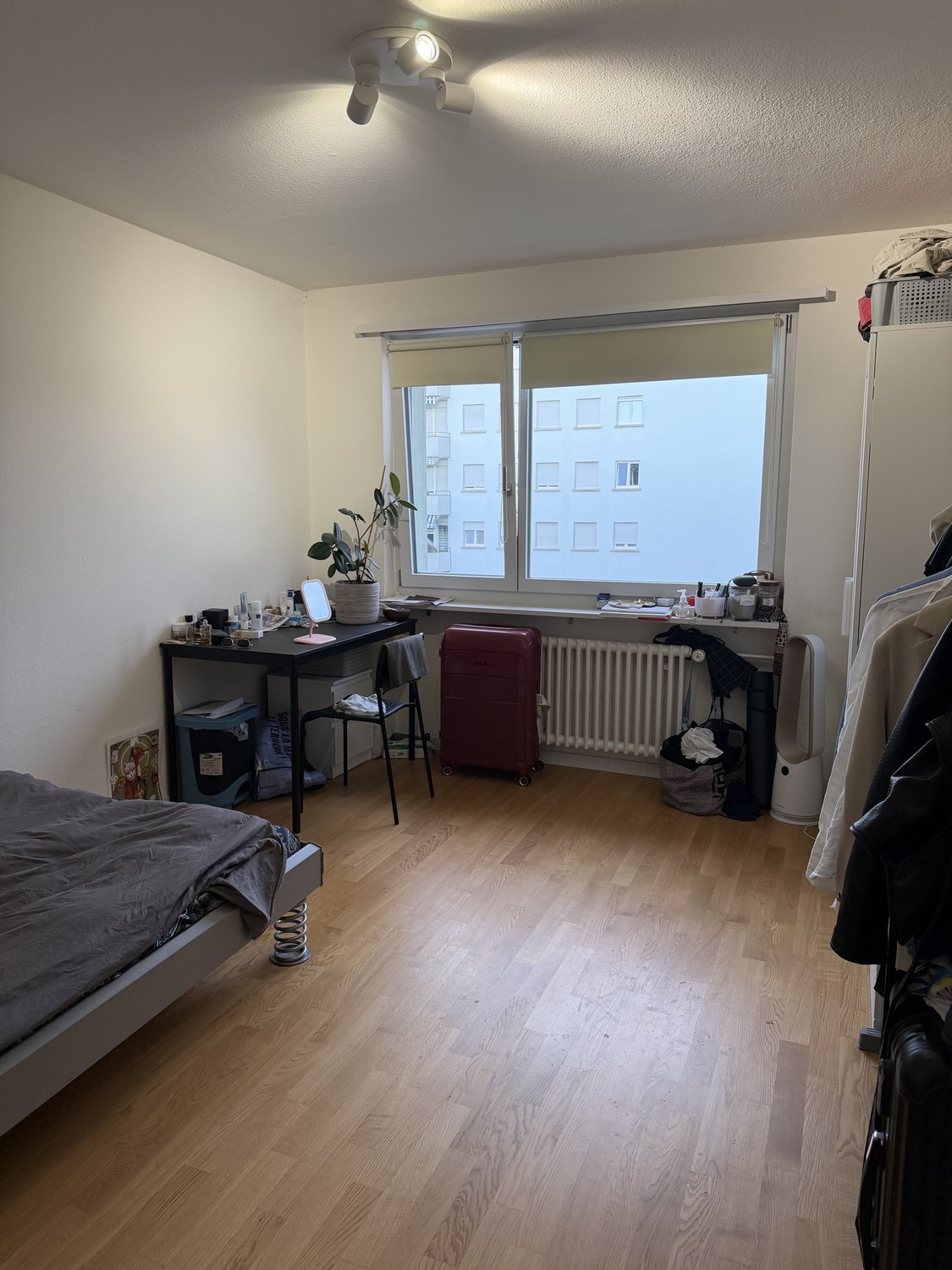 Chambre dans une colocation