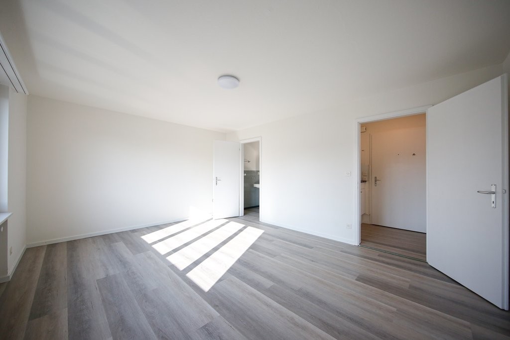 1 ½ rooms apartment, photo 2 sur 4