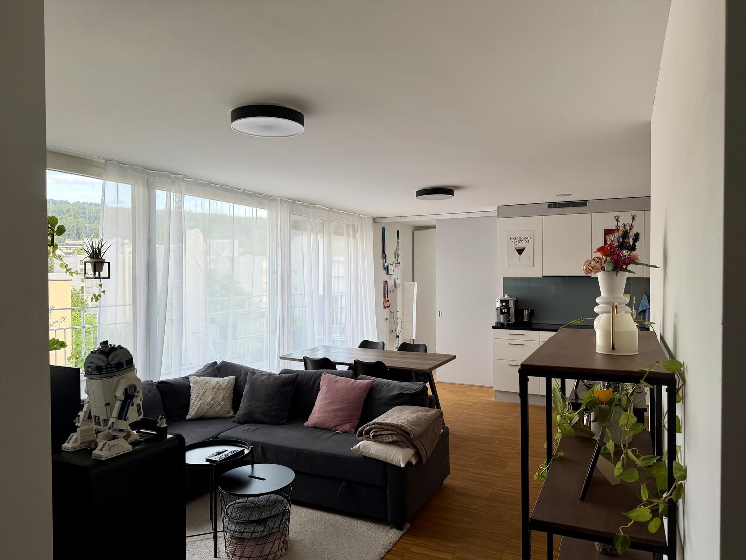 Appartement de 3 ½ pièces