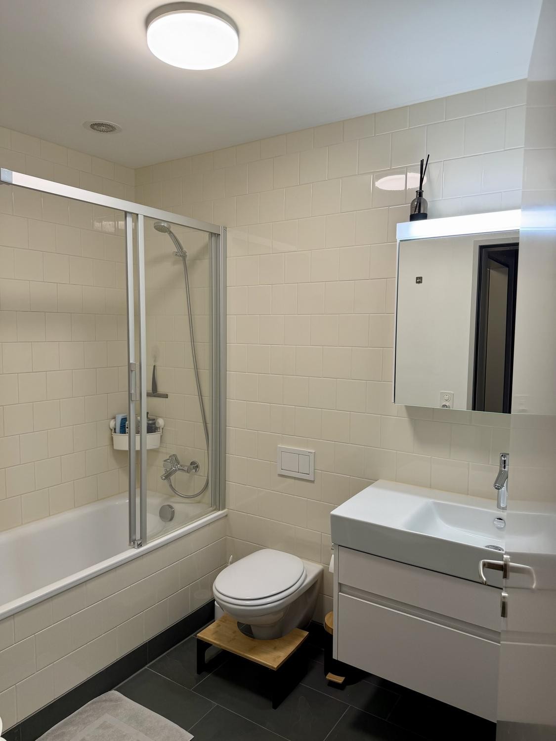 Appartement de 3 ½ pièces