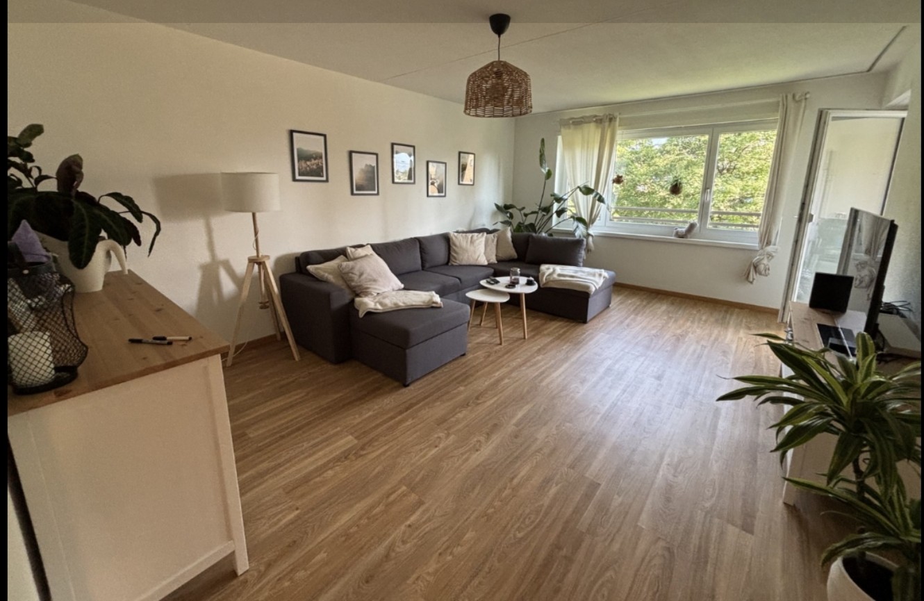 Chambre en colocation