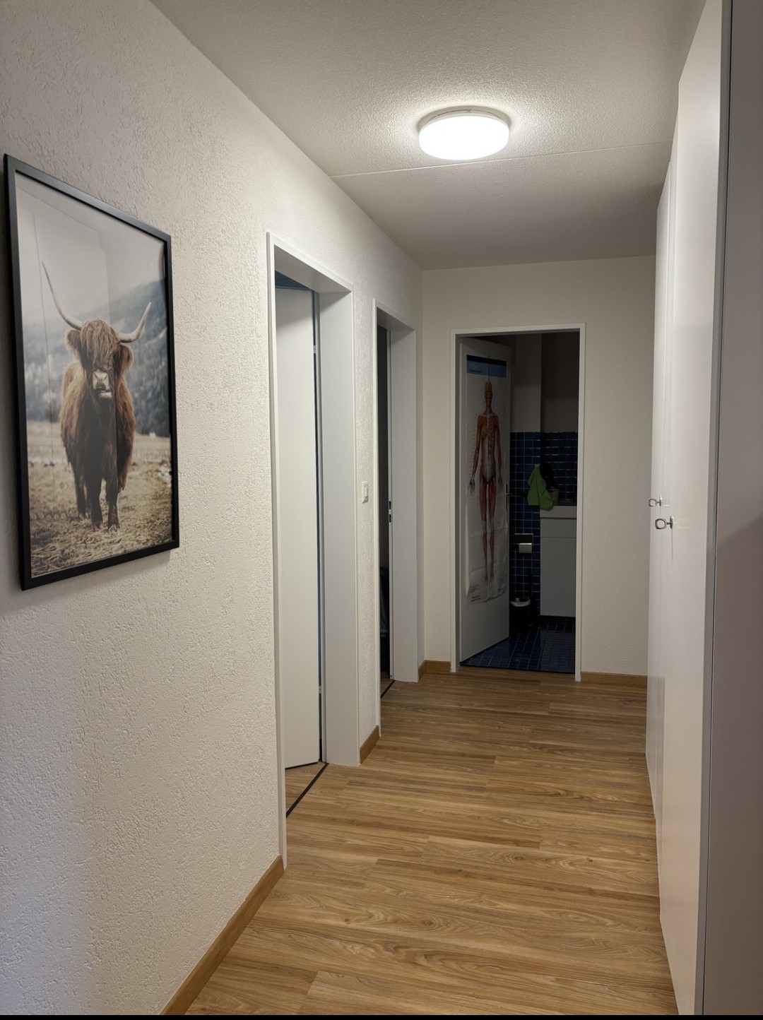 Chambre en colocation
