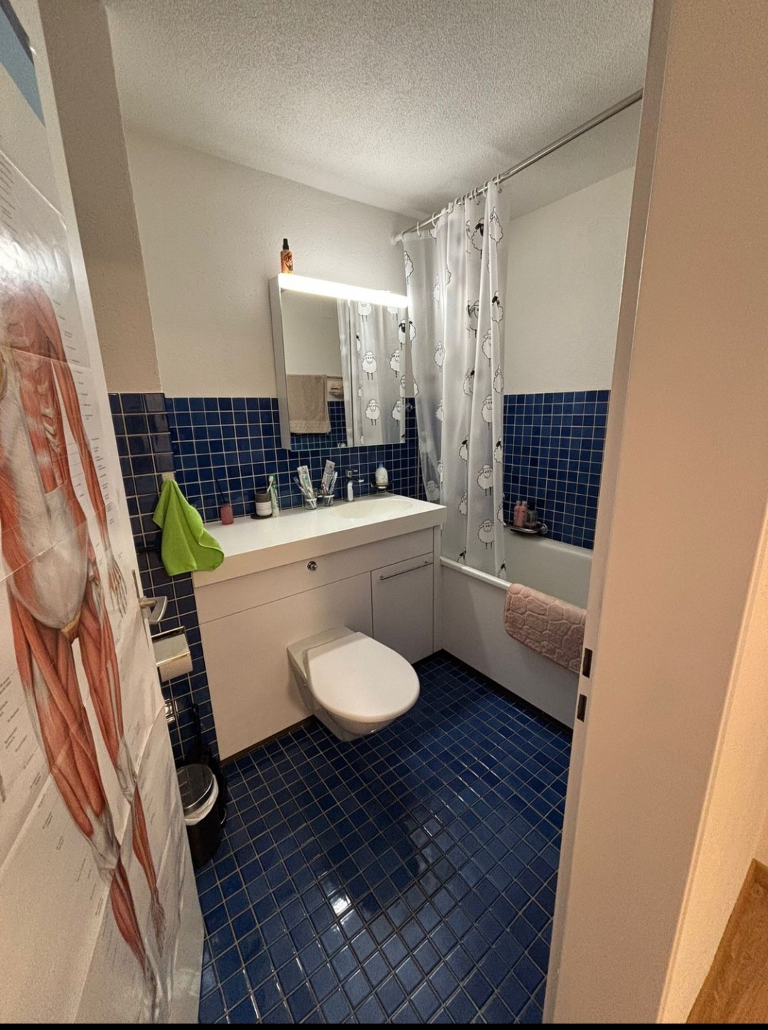 Chambre en colocation
