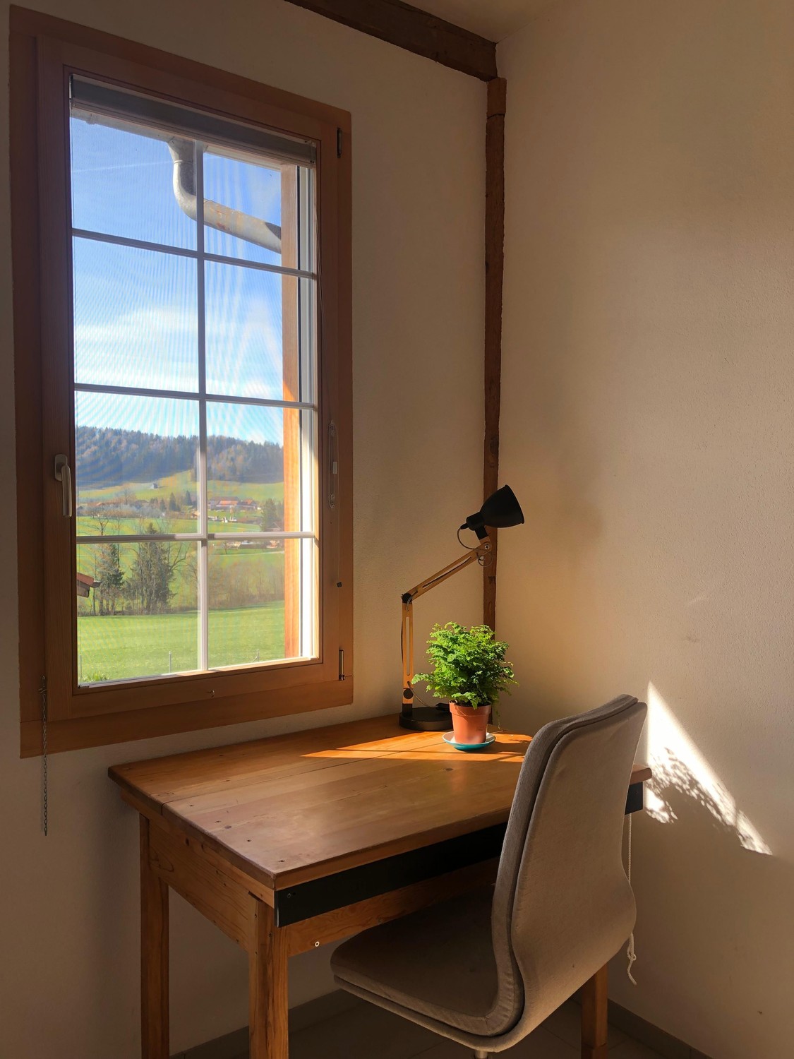 Chambre en colocation