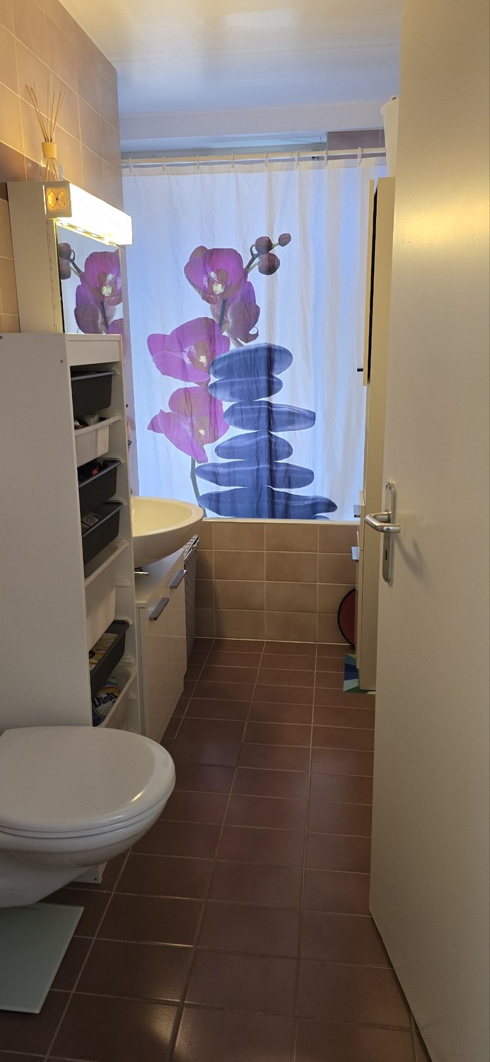 3 ½ rooms apartment, photo 6 sur 9