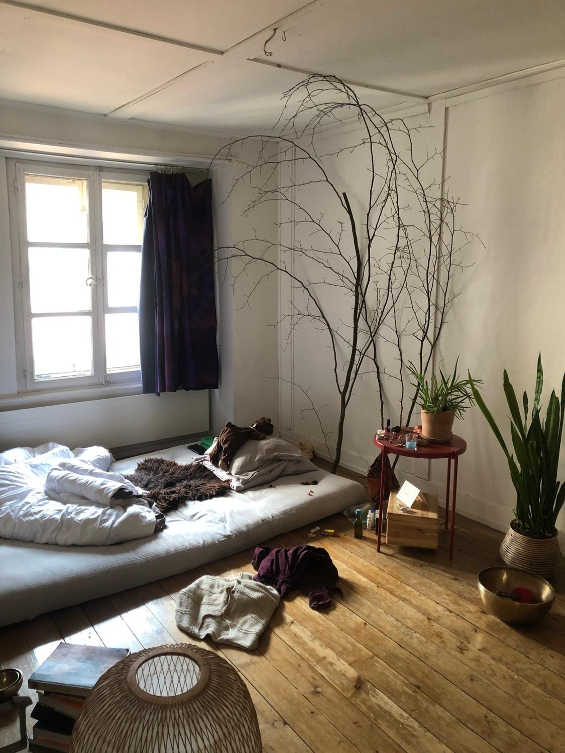 Chambre en colocation