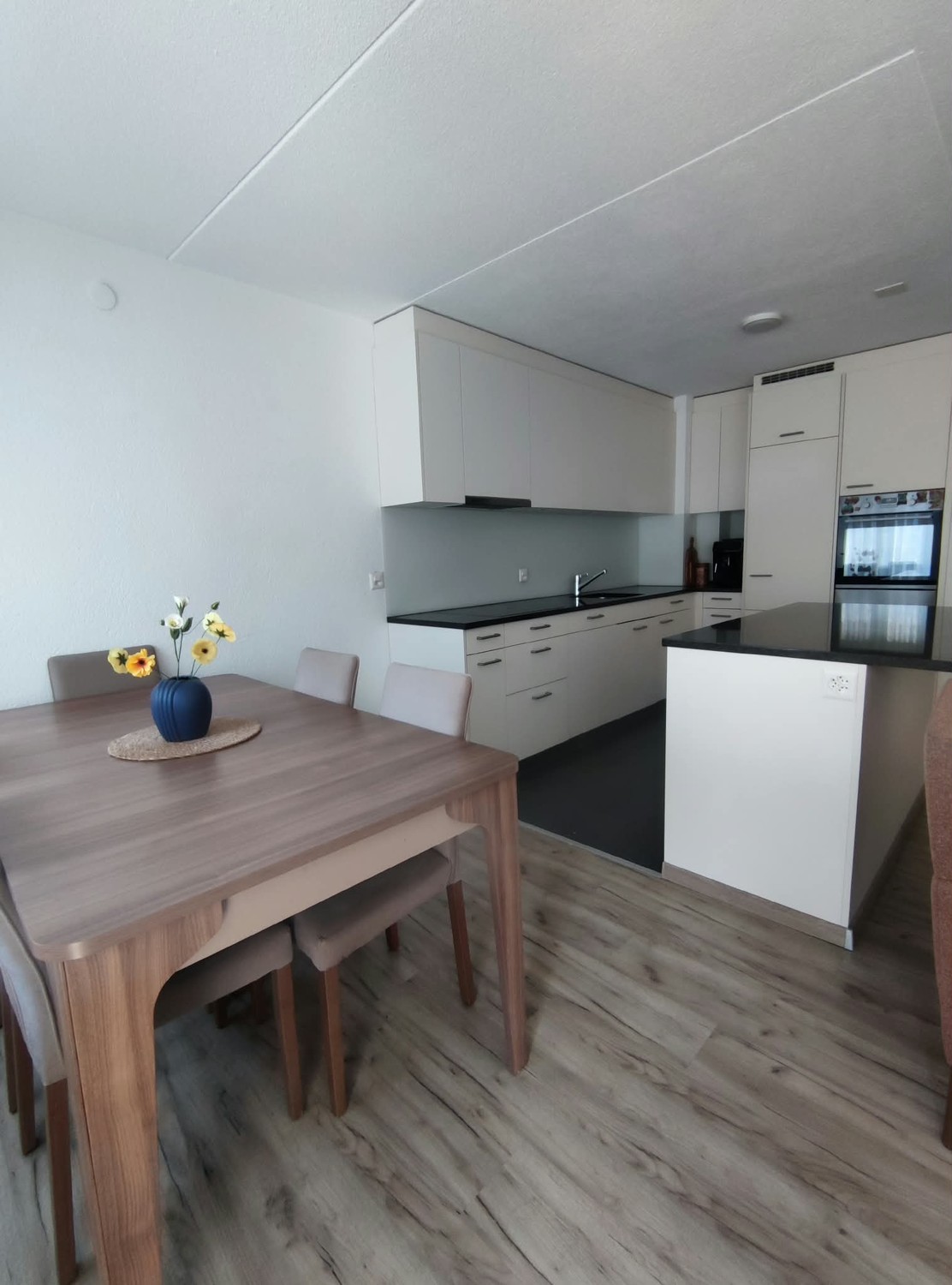 Appartement de 3 ½ pièces
