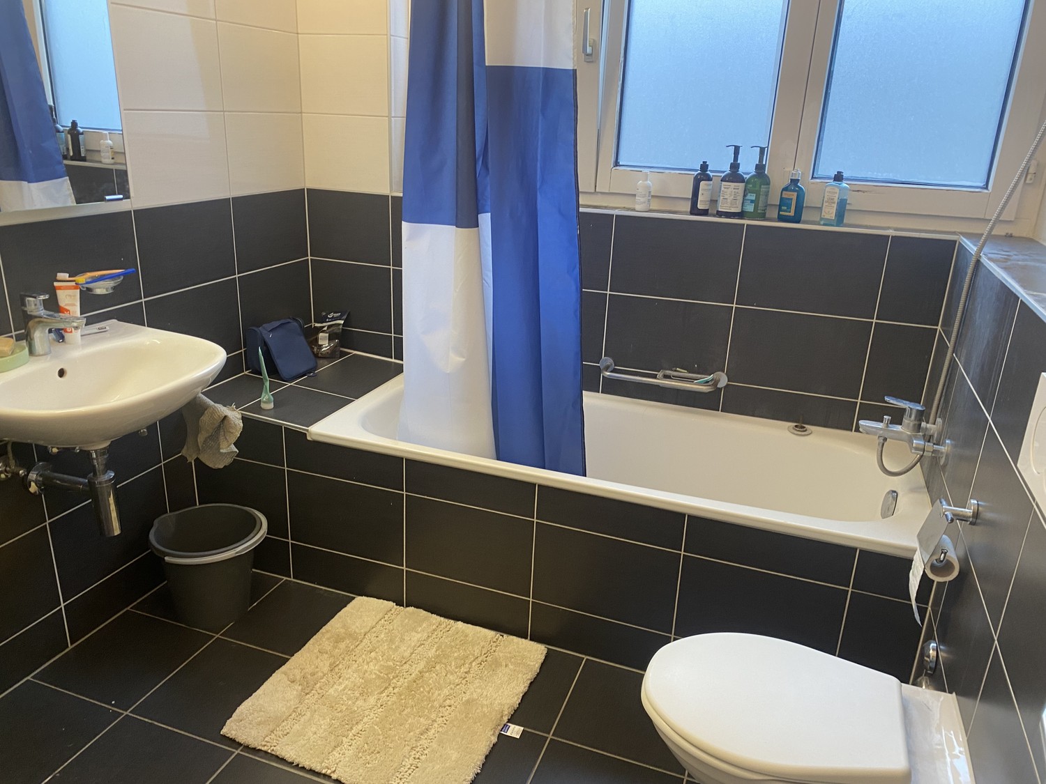 Appartement de 2 ½ pièces