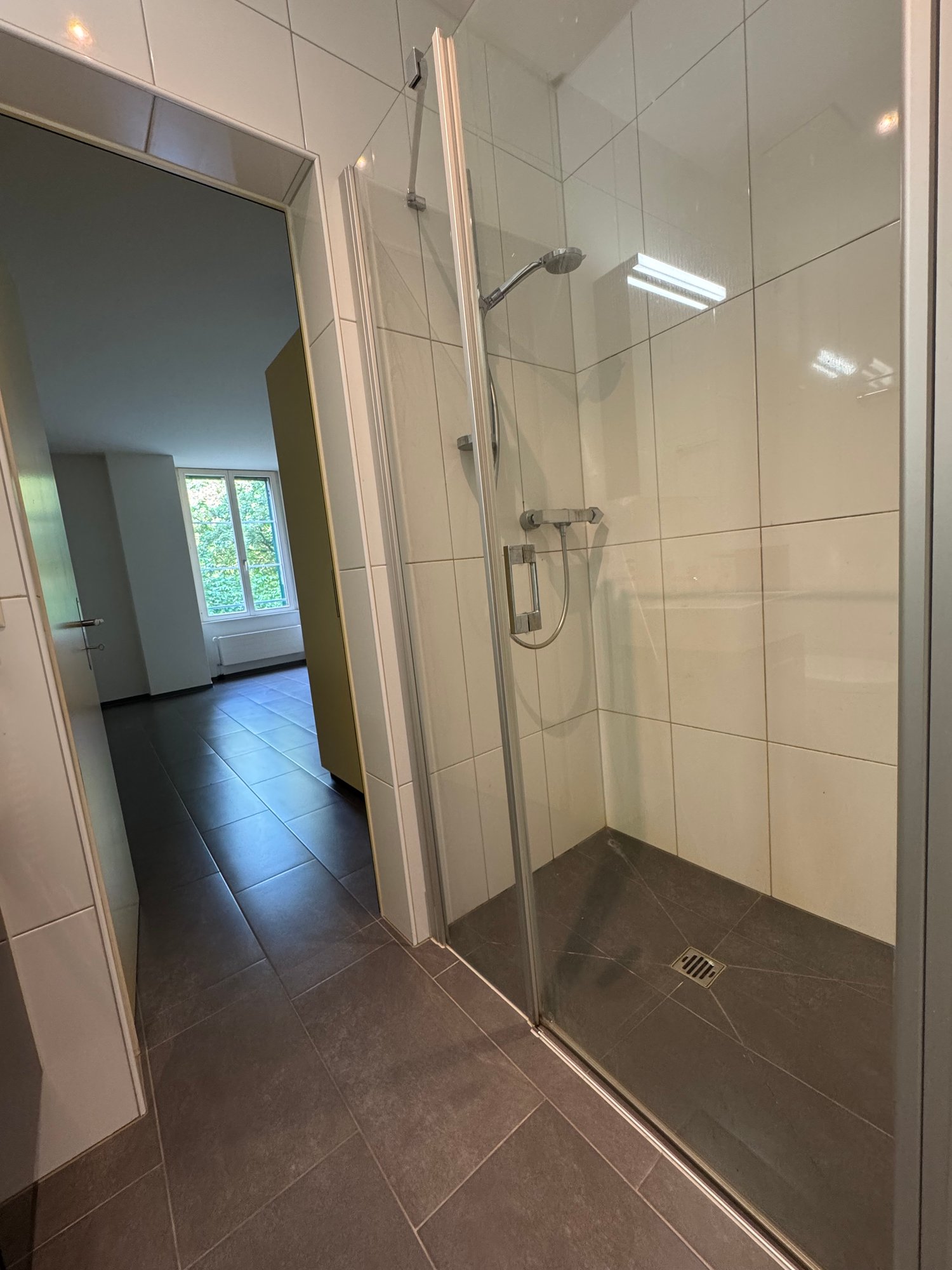 2 ½ rooms apartment, photo 8 sur 9