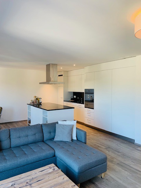 Appartement de 3 ½ pièces, photo 1 sur 10