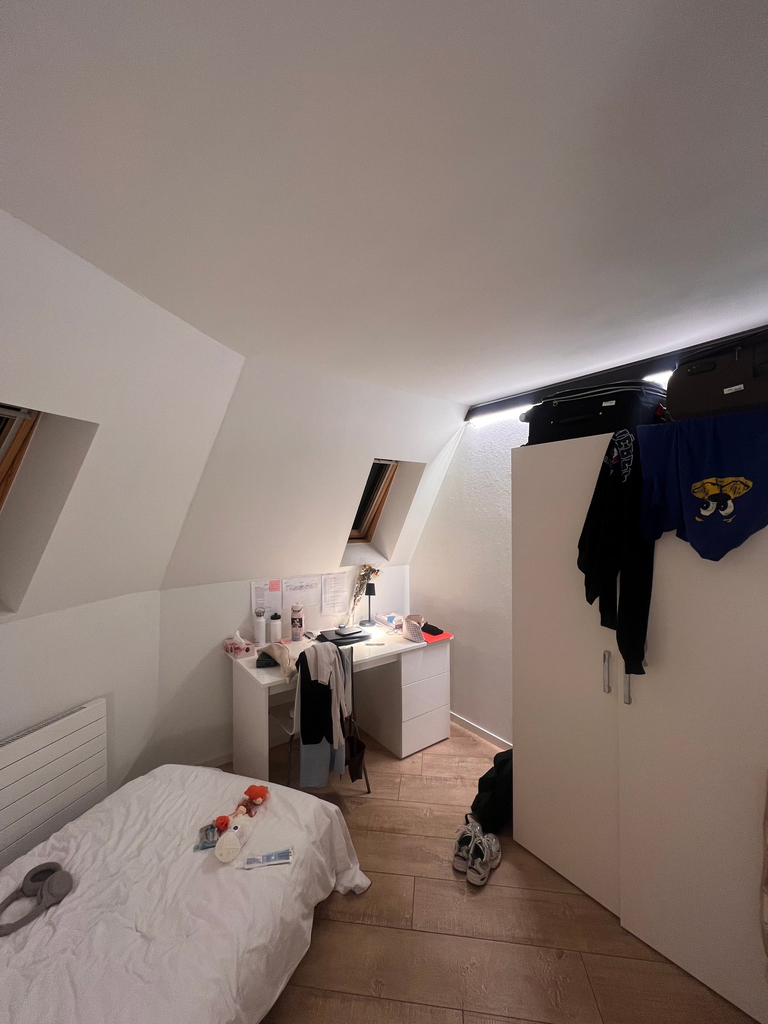 Room in a shared flat, photo 1 sur 8
