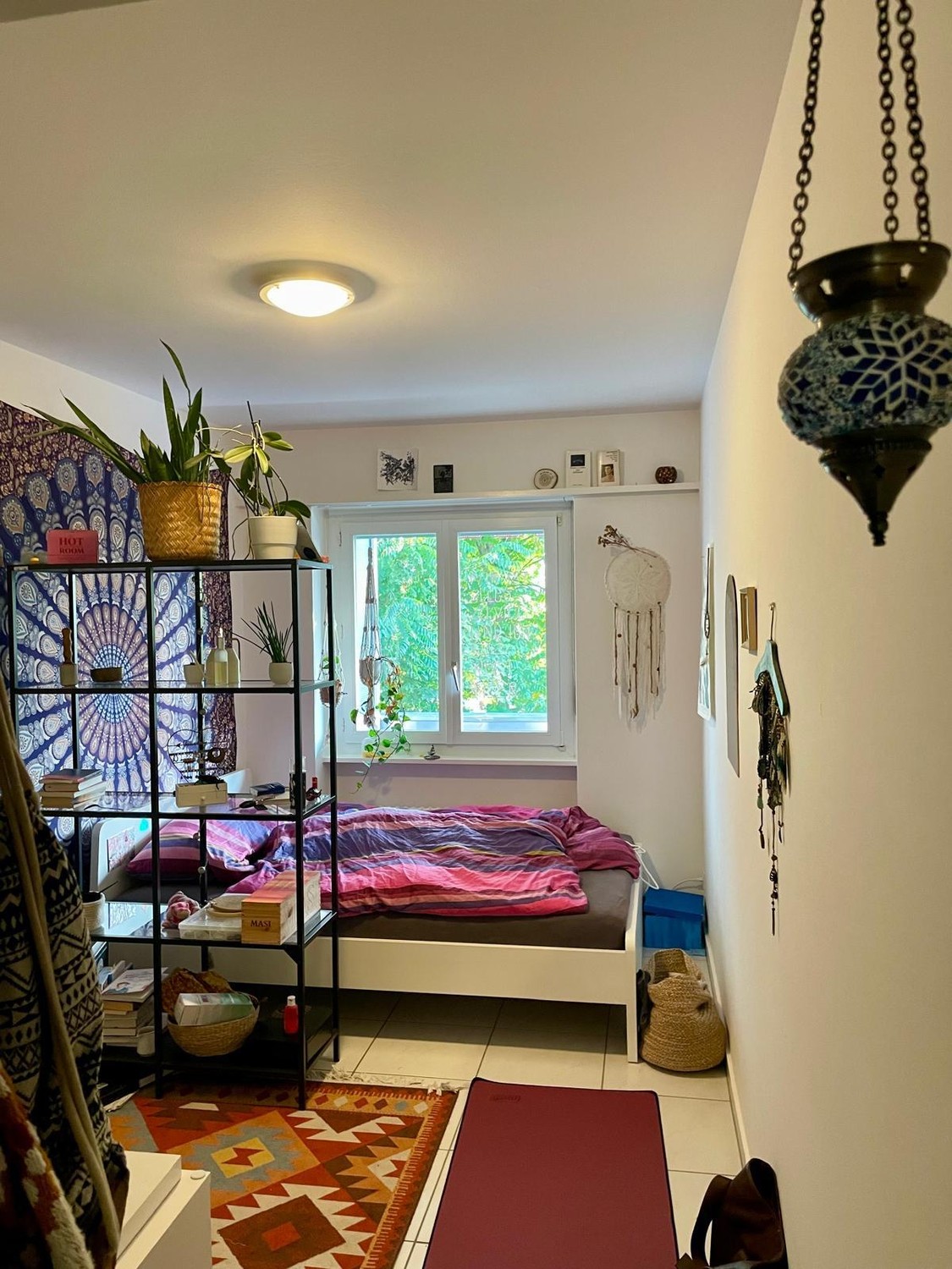Room in a shared flat