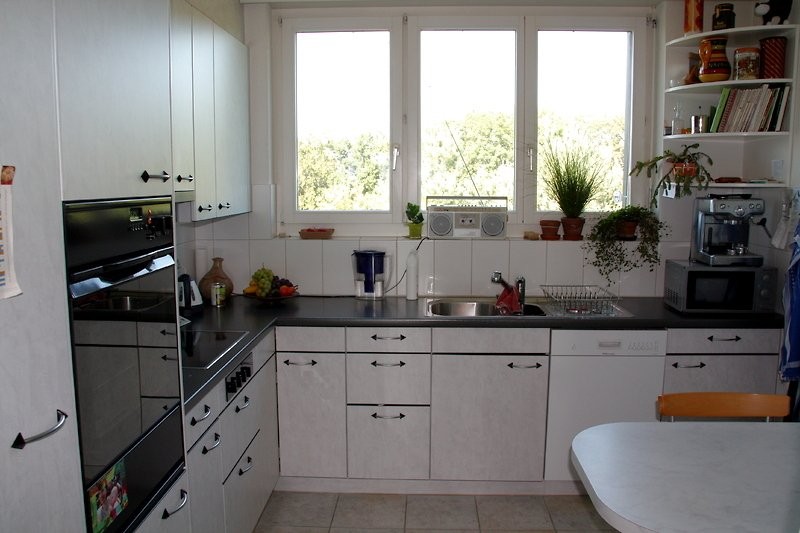 Appartement meublé de 3 ½ pièces