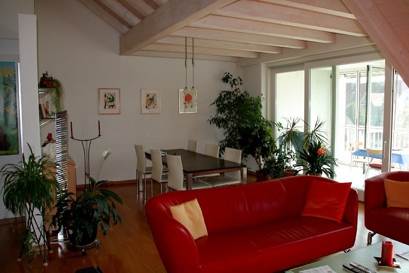 Appartement meublé de 3 ½ pièces