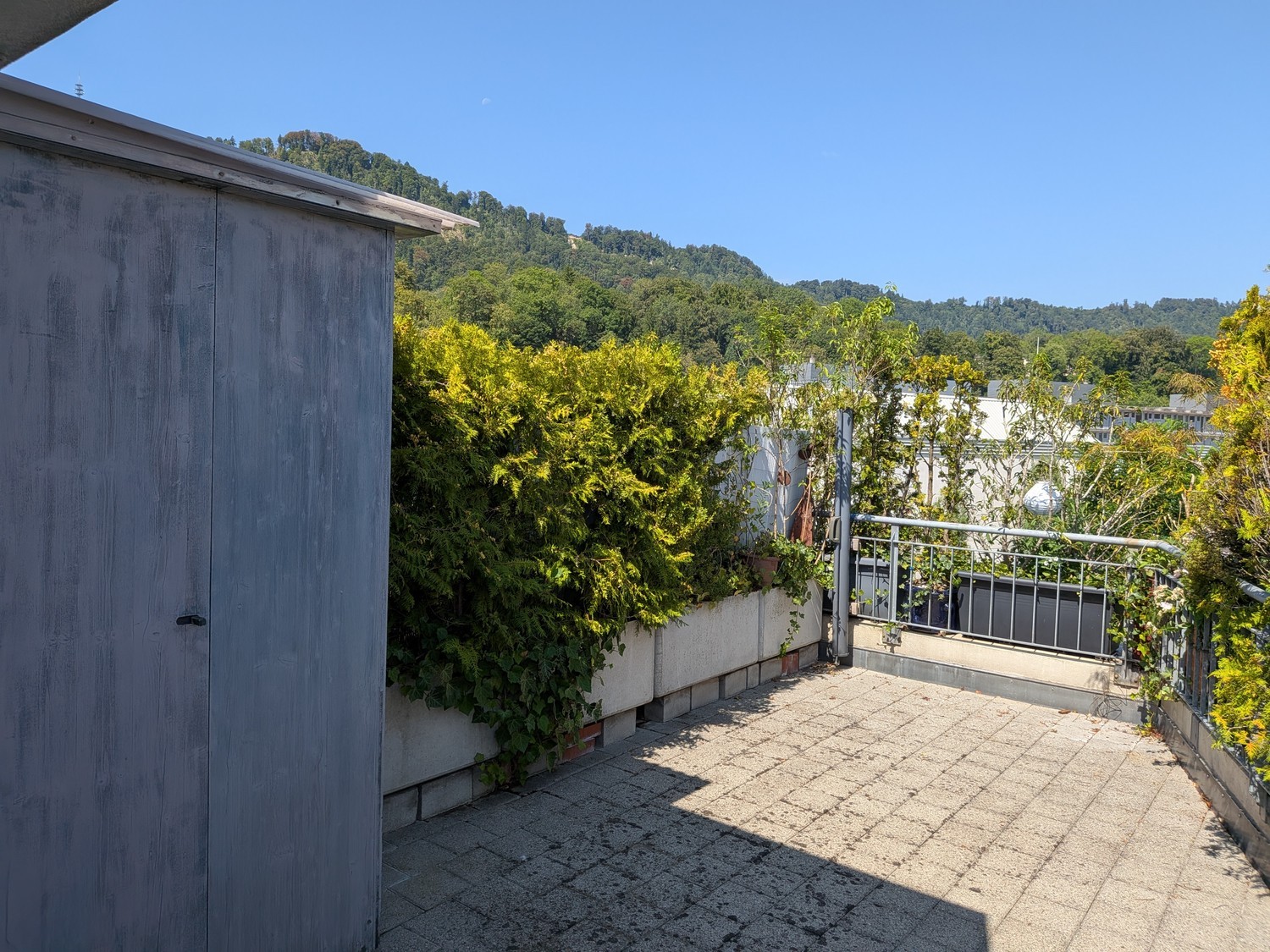 Appartement de 3 ½ pièces