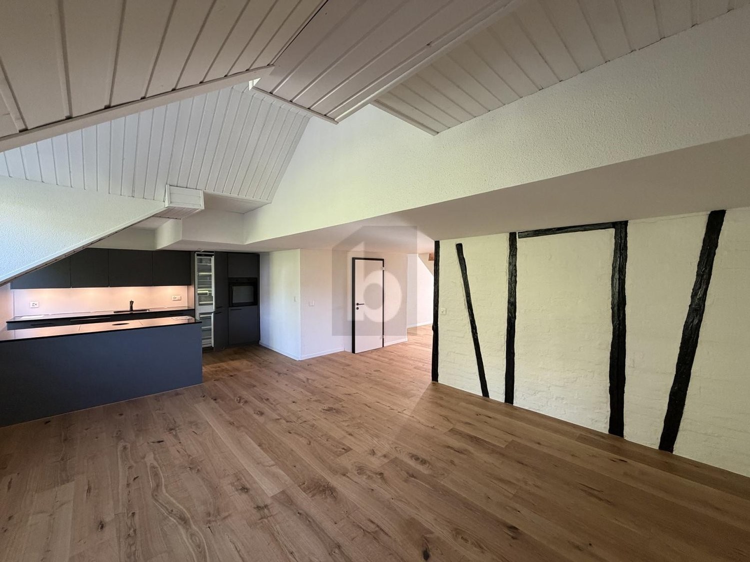 duplex de 3 ½ pièces