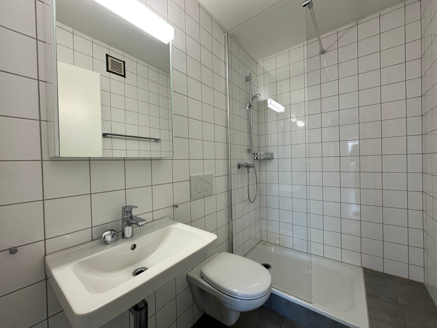 3 ½ rooms apartment, photo 5 sur 7