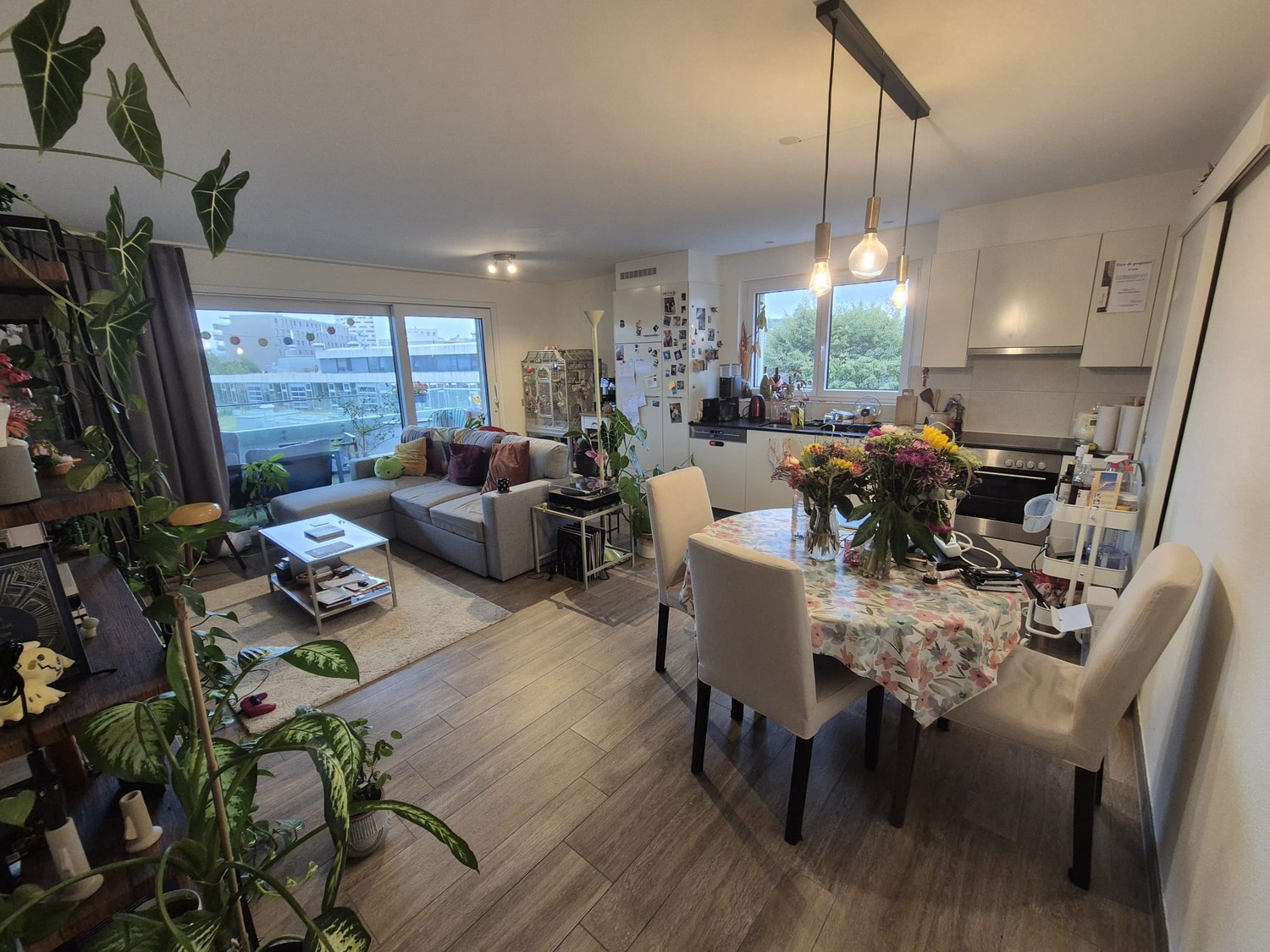 2 ½ rooms apartment, photo 1 sur 7