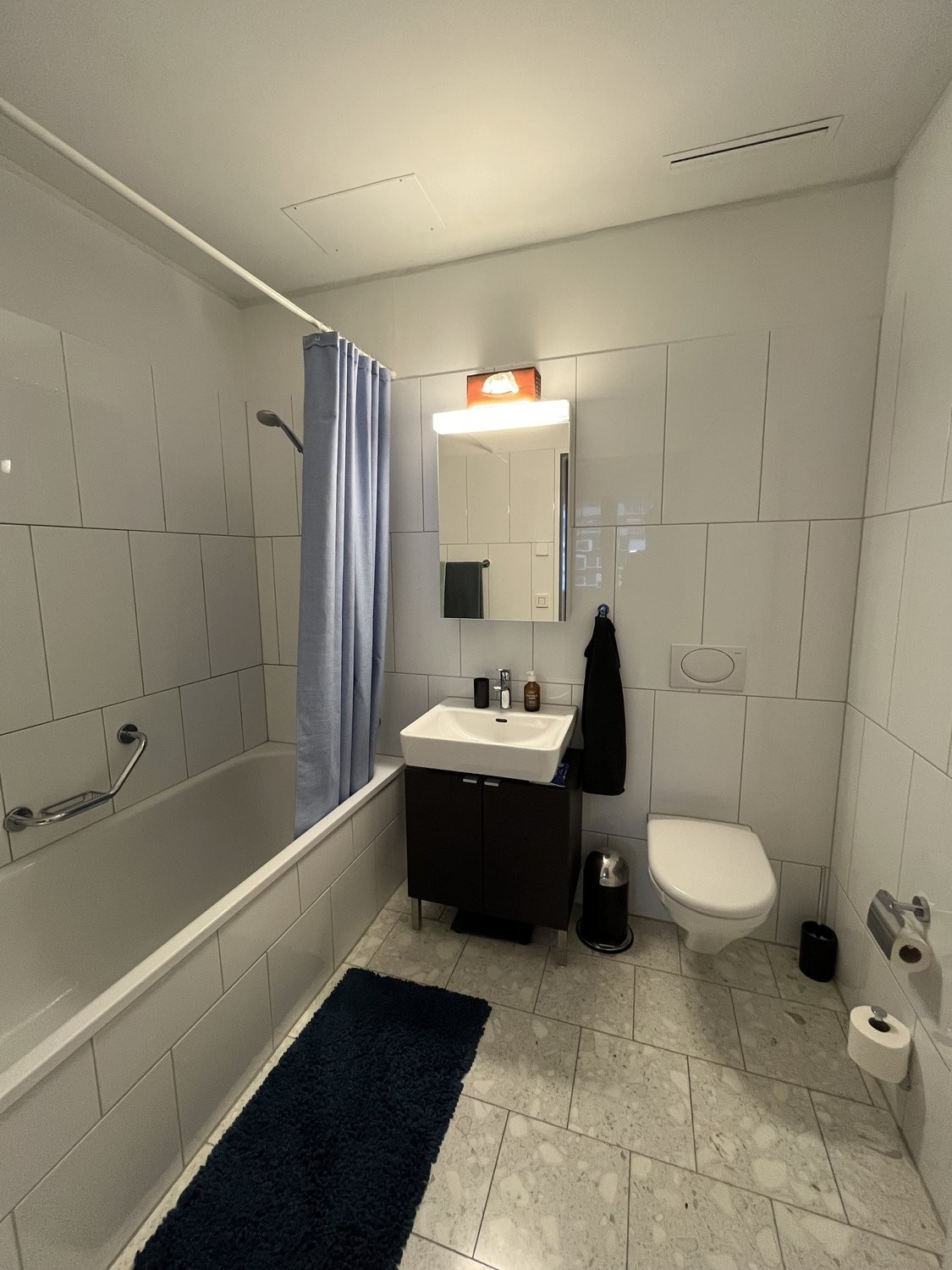 Appartement meublé de 3 ½ pièces