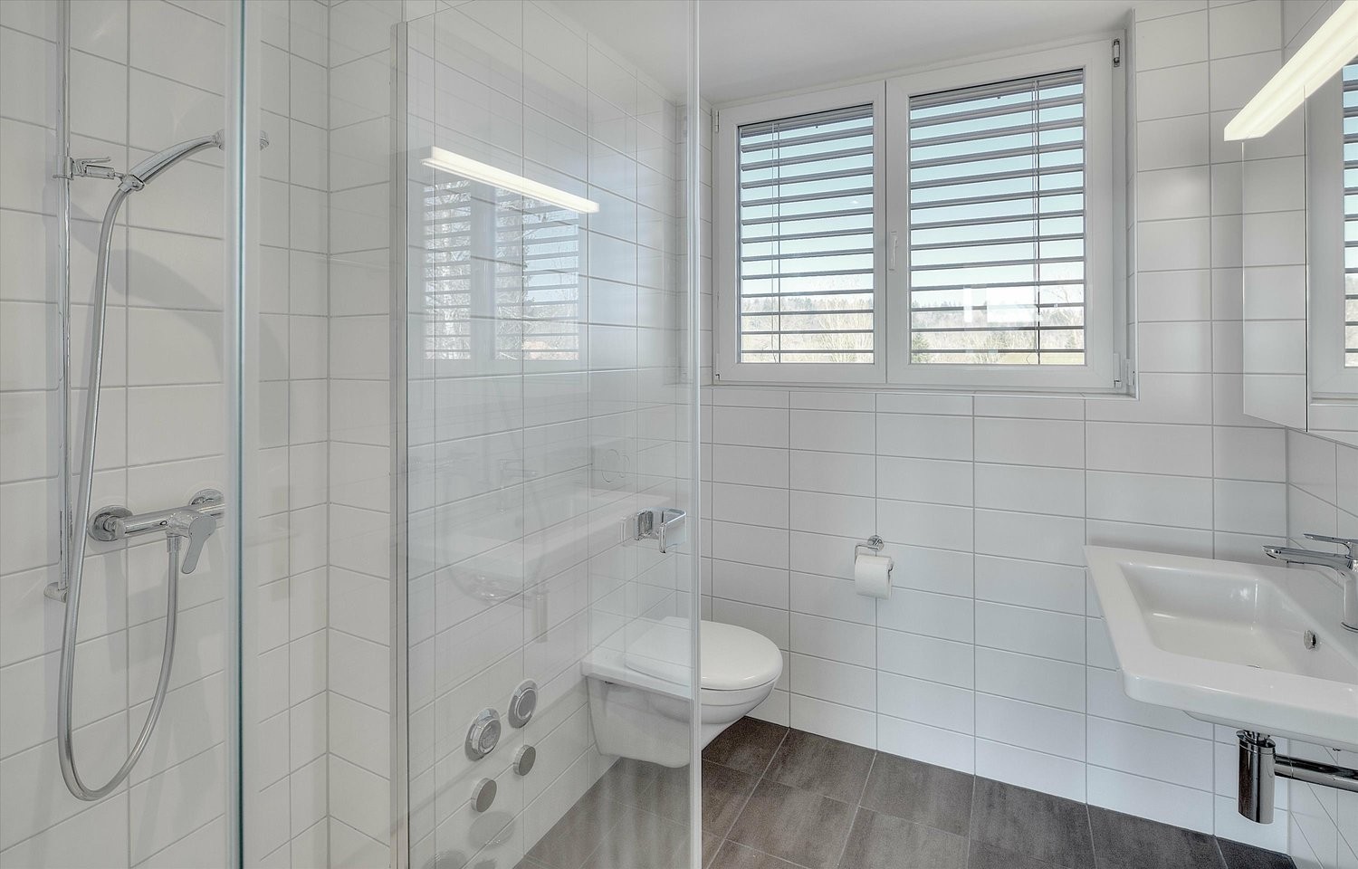 Appartement de 2 ½ pièces, photo 5 sur 6