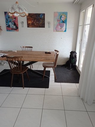 1 room single room