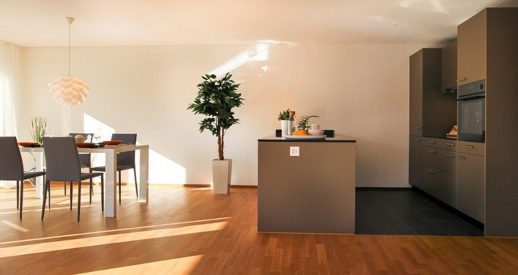 Appartement de 3 ½ pièces