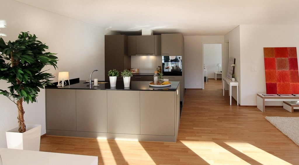 Appartement de 3 ½ pièces