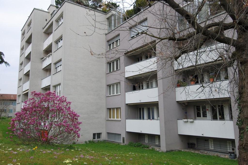 Appartement de 2 ½ pièces