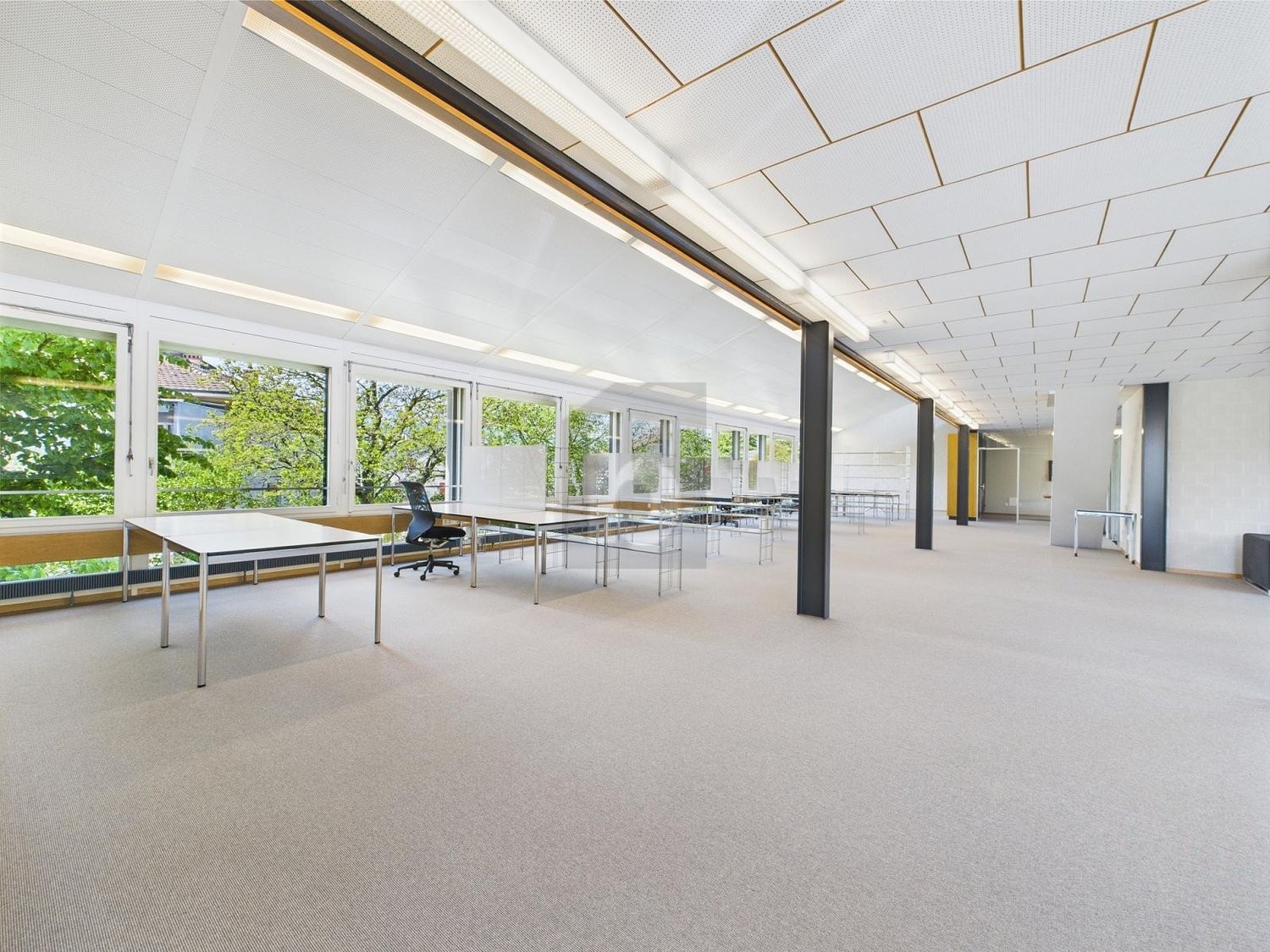 313m² bureau