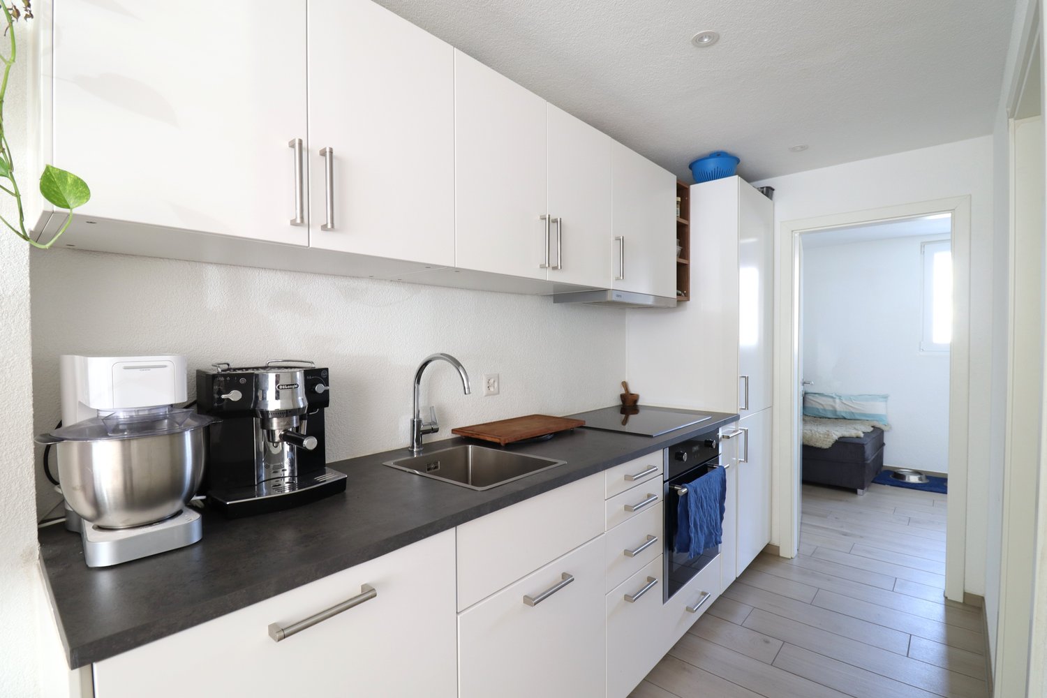 Appartement de 2 ½ pièces