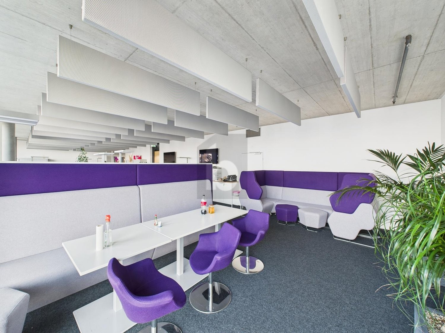 146m² bureau