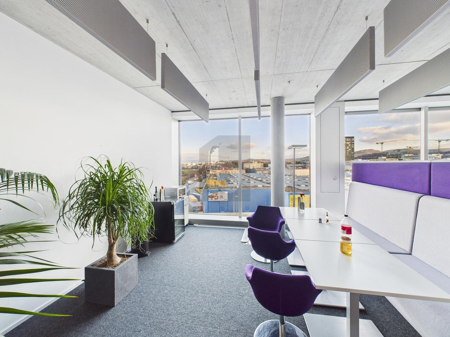 146m² bureau