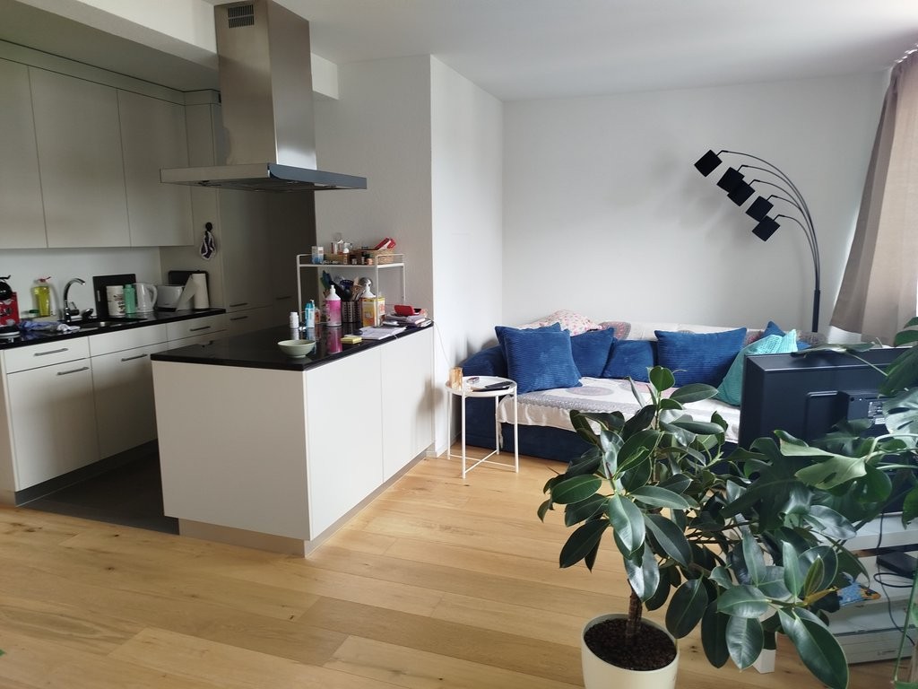 Appartement de 2 ½ pièces, photo 1 sur 8