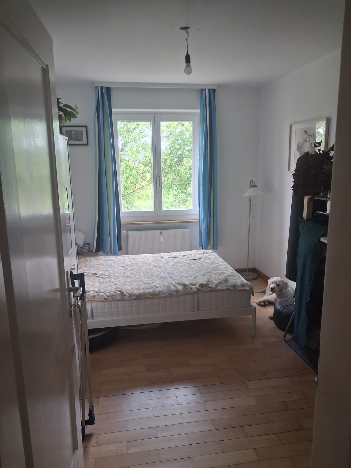 Appartement de 3 ½ pièces