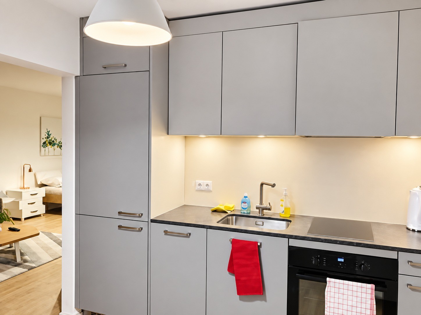 Appartement meublé de 1 ½ pièce