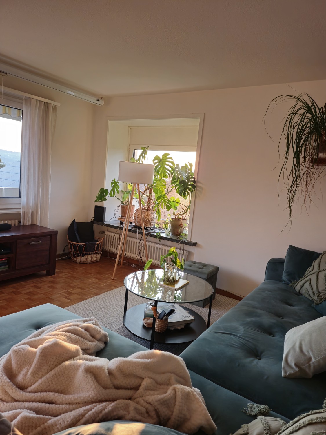 Chambre en colocation, photo 6 sur 8