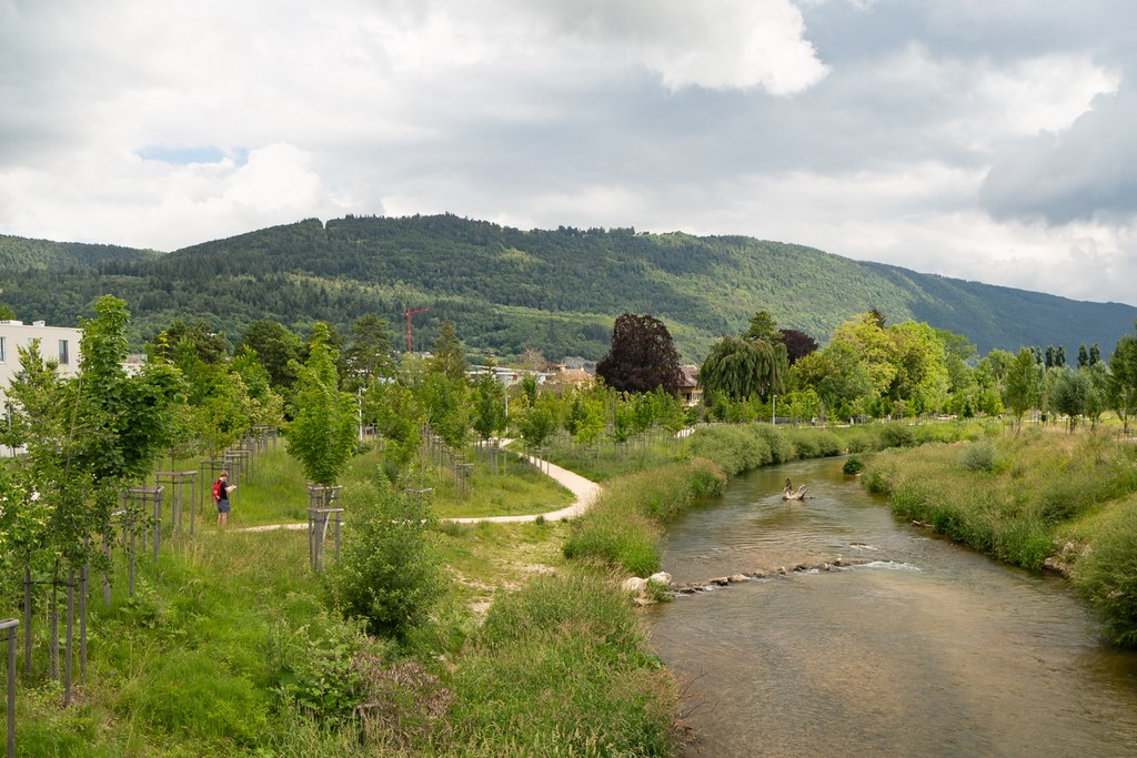 Appartement de 5 ½ pièces, photo 5 sur 9