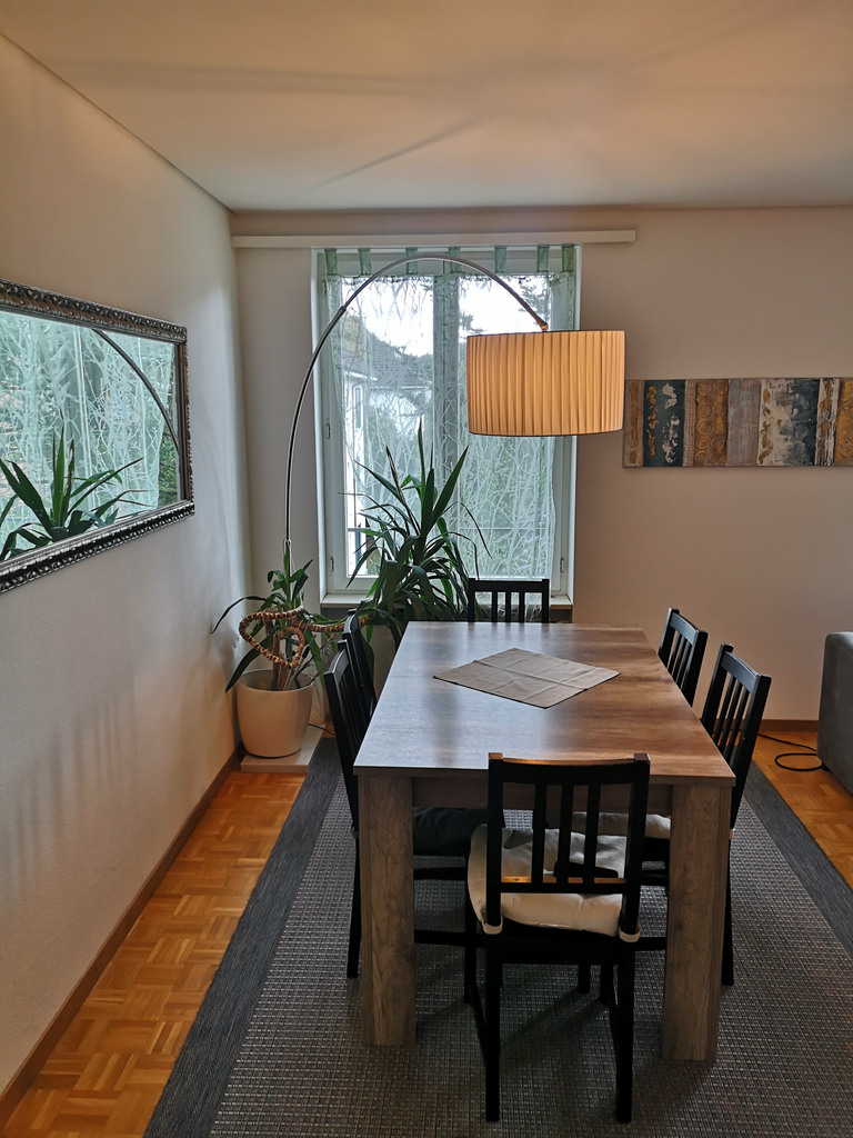Appartement de 5 ½ pièces, photo 8 sur 9