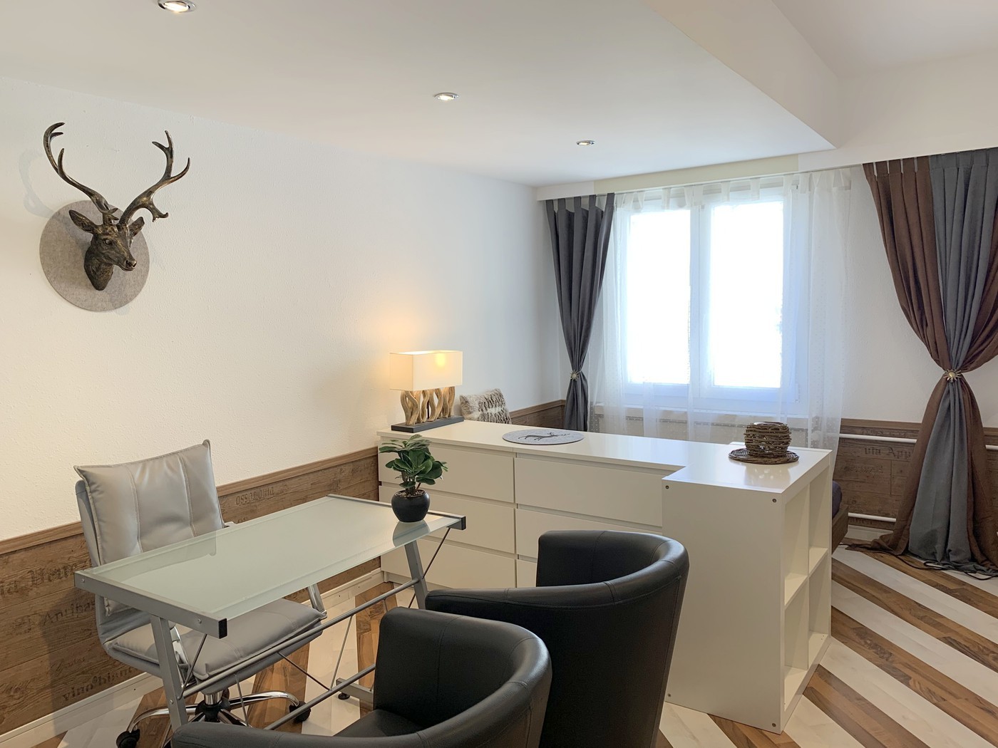 appartement 1 pièce