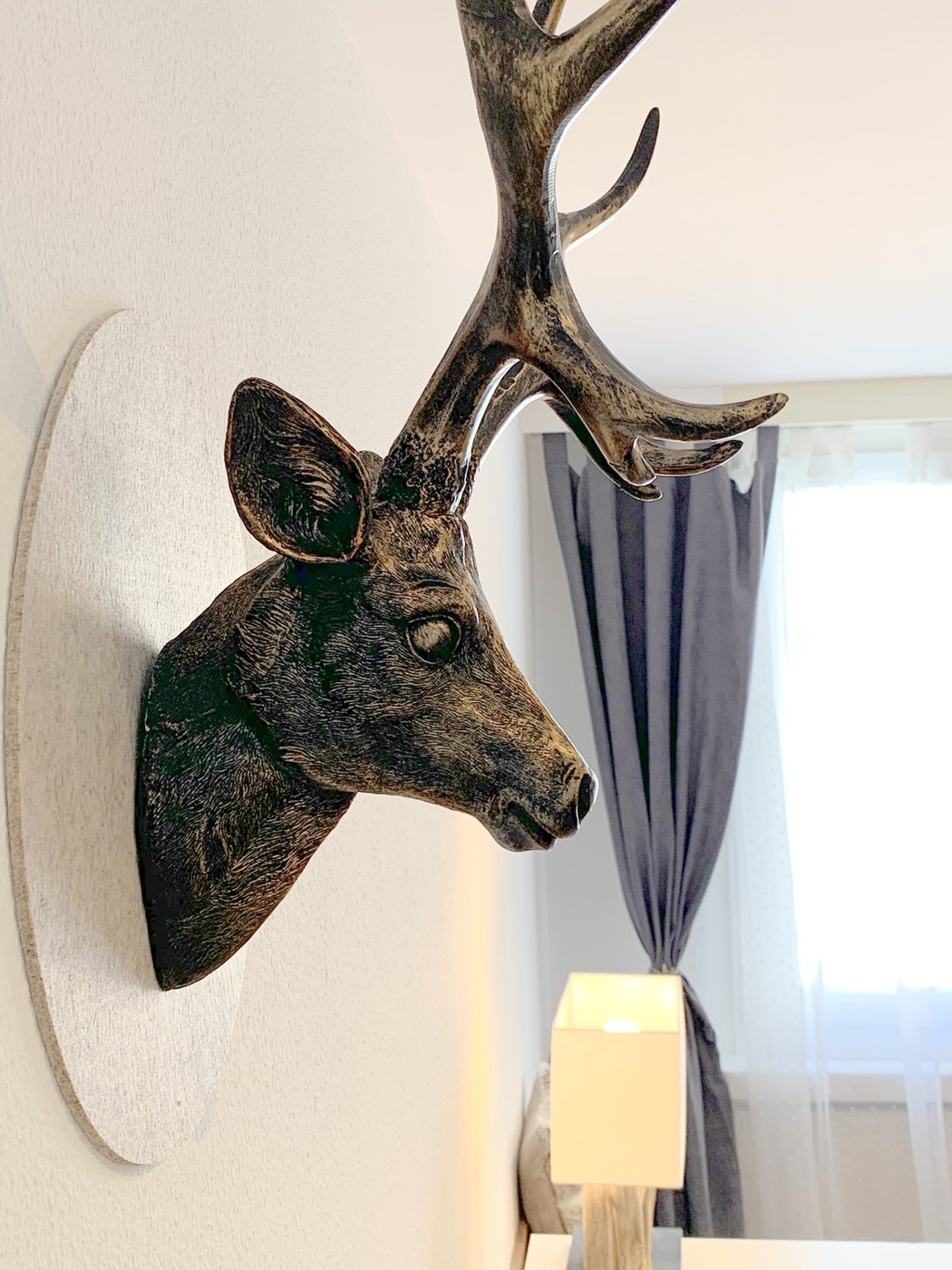 appartement 1 pièce