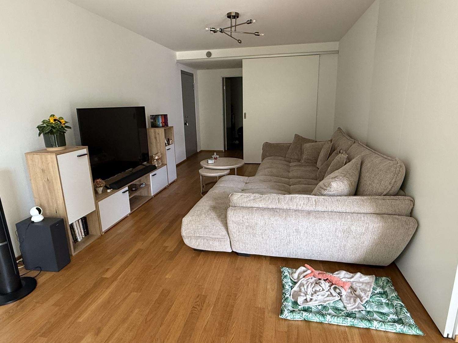 Appartement de 2 ½ pièces