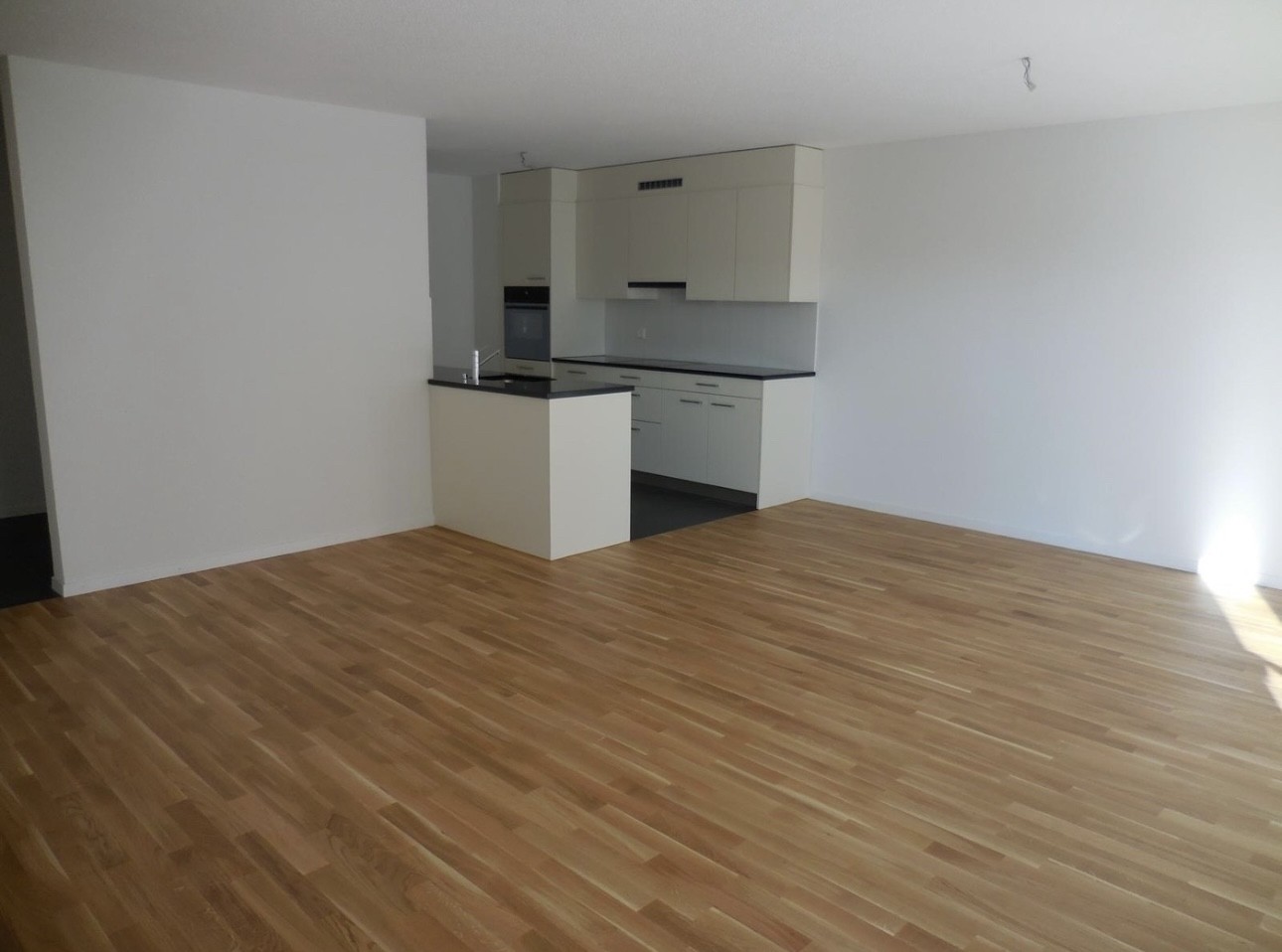 Appartement de 1 ½ pièces, photo 1 sur 6