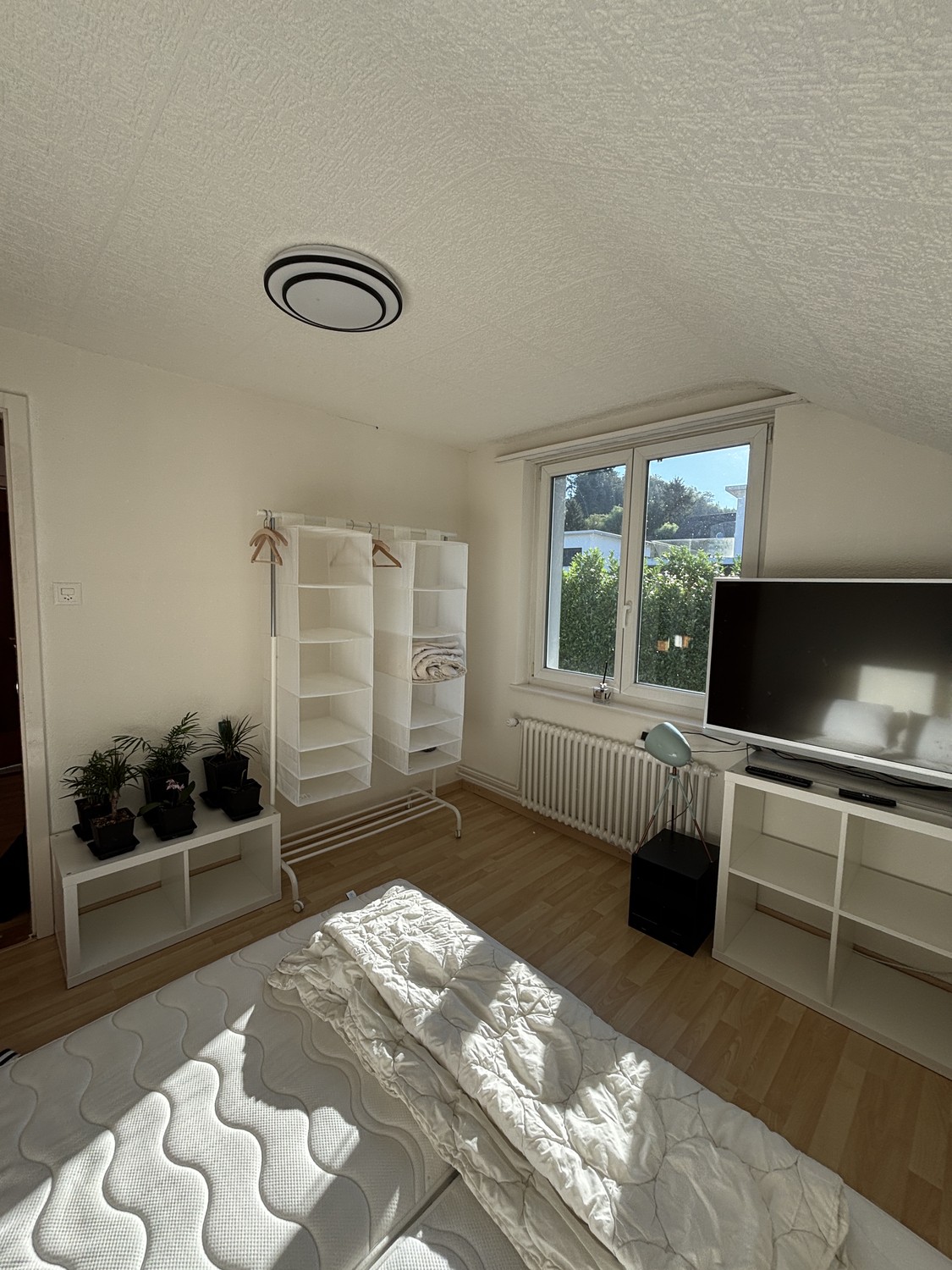 Chambre en colocation, photo 3 sur 4