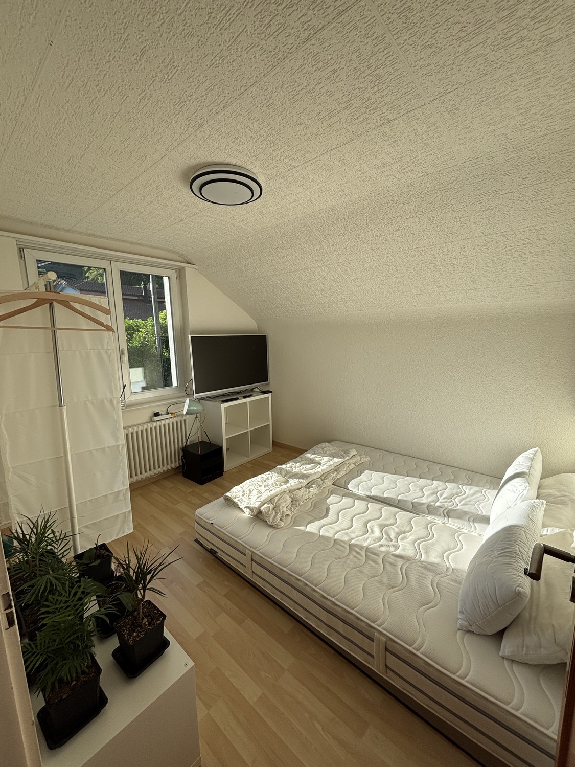 Chambre en colocation, photo 2 sur 4