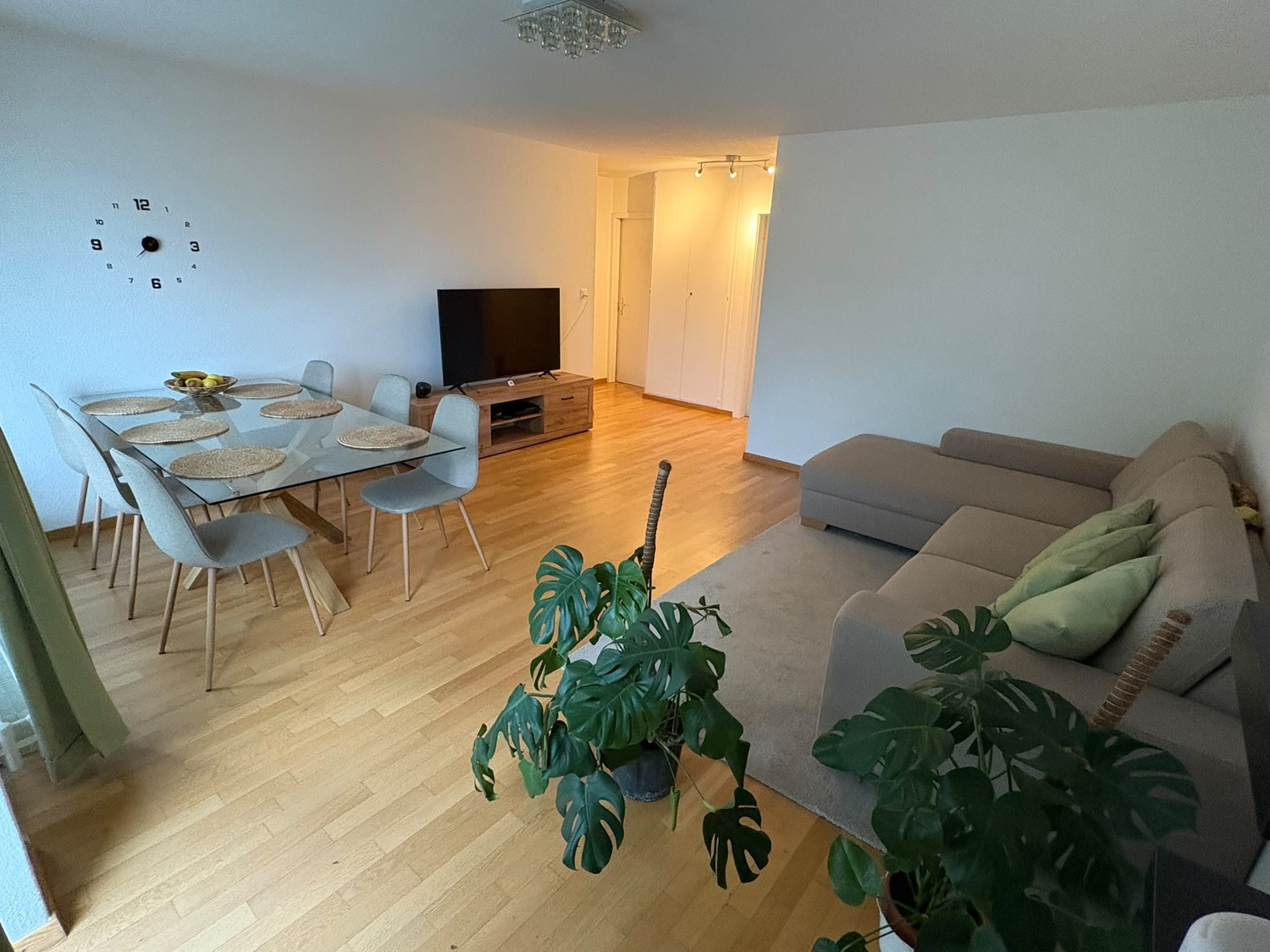 Appartement de 3 ½ pièces