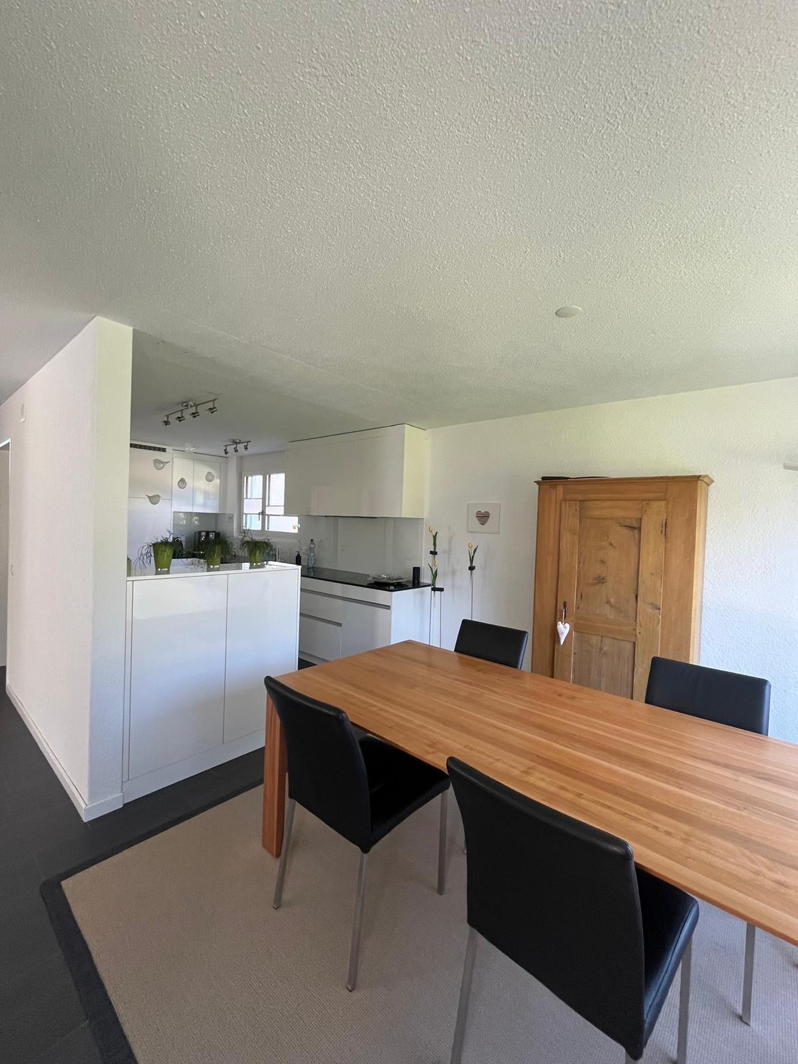 Appartement de 5 ½ pièces