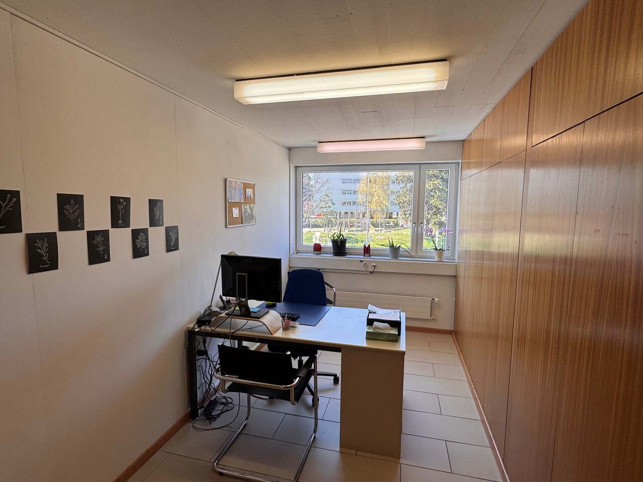 340m² office